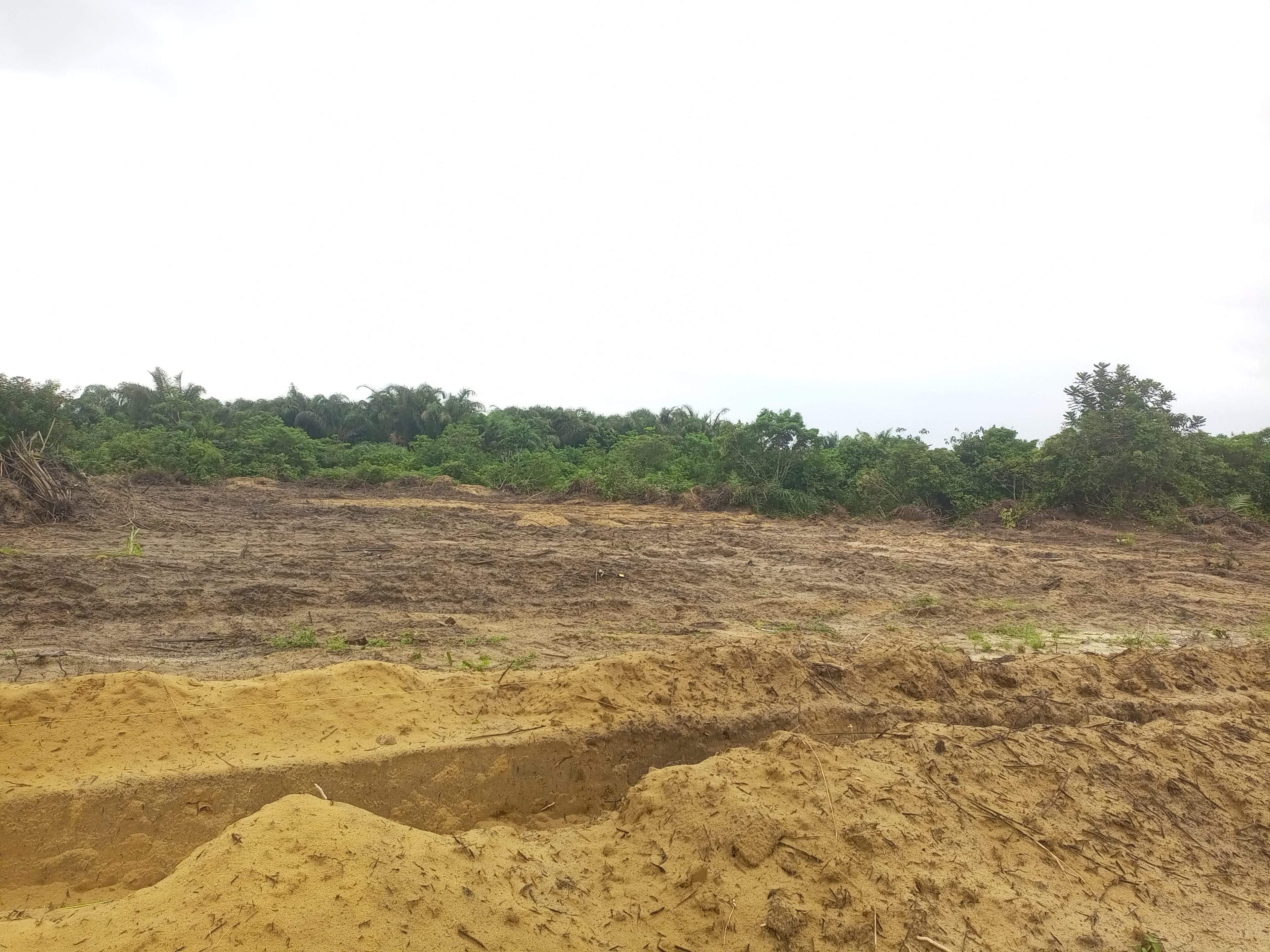 30 Acres of Land Along Lagos Airport Road Ibeju-Lekki